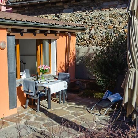 Rustico Al Sole - Just Renewed 1Bedroom Home In Ronco Sopra Ascona Exteriör bild